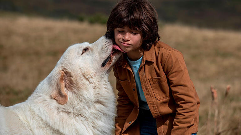 Březnové filmové premiéry,Bella a Sebastián: Nová generace, kino. filmy, kinopremiéry,Cinema, Creed, magazín KULT* Brno