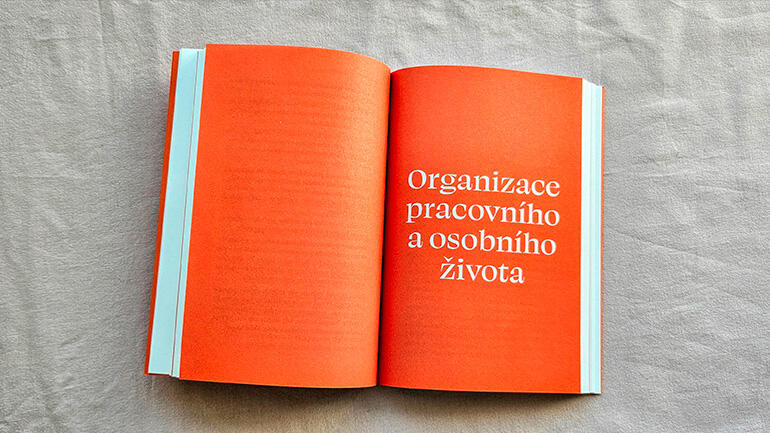 Organizační porno,Aneta Martinek, recenze, magazín KULTINO* Brno