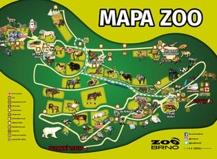 zoo brno, bystrc, adopce zvířat, mapa, vlak, hřiště, nové výběhy, expozice, soutěž, představení, magazín KULT* Brno