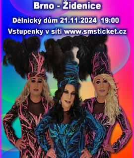 Akce Travesti Divoké kočky, Dělnický dům. Magazín KULTINO* Brno