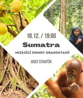 Přednáška Sumatra - neopakovatelná příroda, mizející domov orangutanů, Klub cestovatelů. Magazín KULTINO* Brno