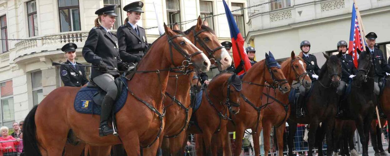 Den policie. Ignis Brunensis. Mistrovstvi České republiky v jezdectví. Magazín KULT* Brno